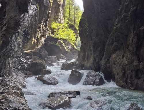 Astrologisch durch das Jahr – März 2026